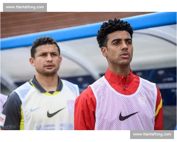 归化球员政策影响与中国足球未来发展路径探析深度研究与思考之现实