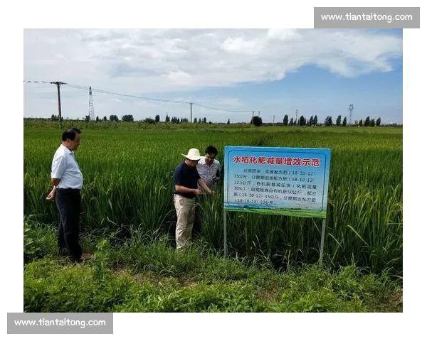 梯队建设取得显著进展推动组织发展提升效率成效显现