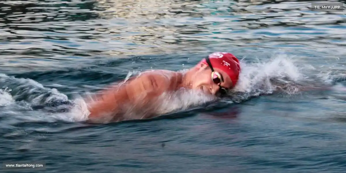 行业领先的理由